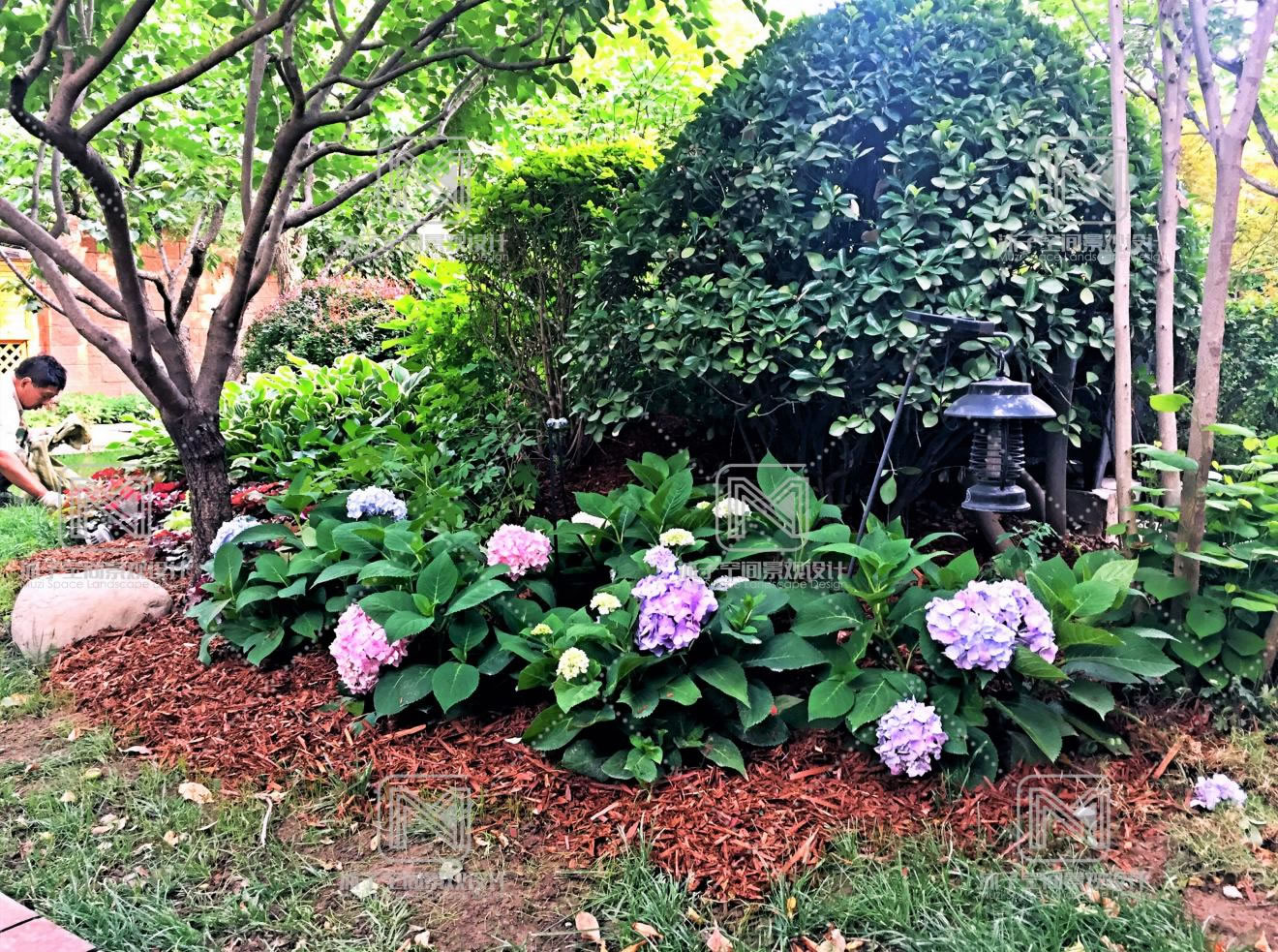 1676560557729492.jpg 2.jpg