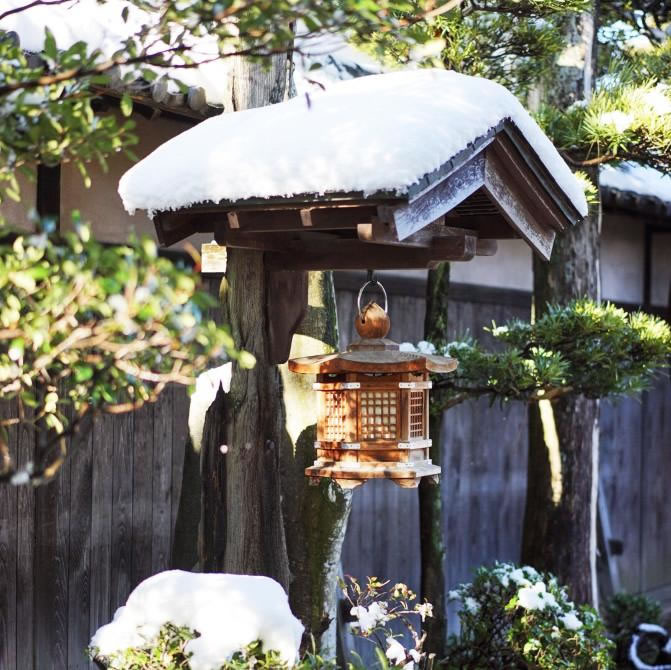 1676561021550842.jpg 1.jpg