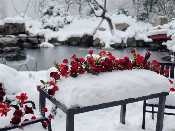 1676561052616455.jpg 4.jpg