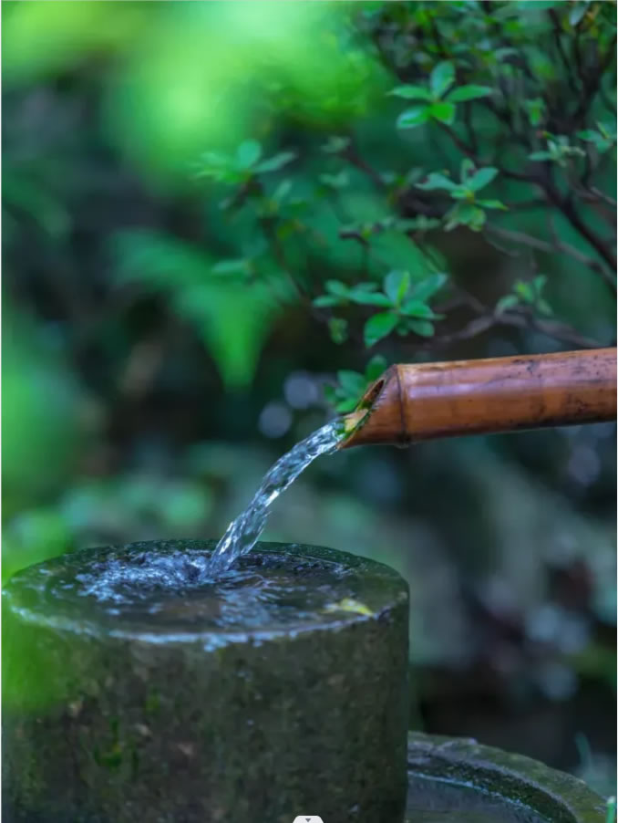 1676562715120605.jpg 4.jpg